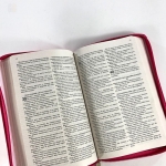 Bíblia Sagrada com Zíper | King James | Rosa